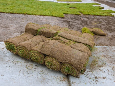 Soil on a sidewalk