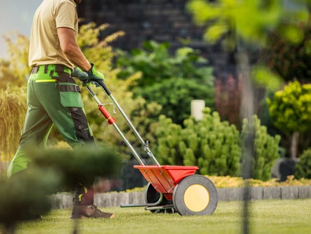 Landscaper fertilizing lawn