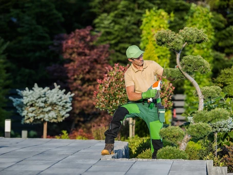 Landscaper pruning tree