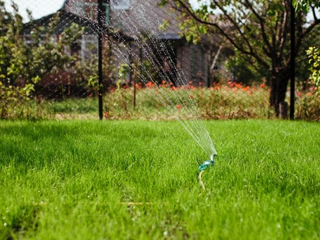 Sprinkler spraying water on manicured lawn