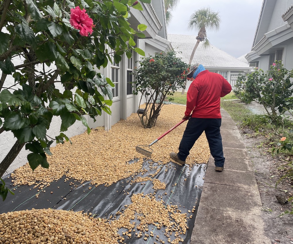 Landscaper installing new landscaping rock in condo complex in Venice Florida