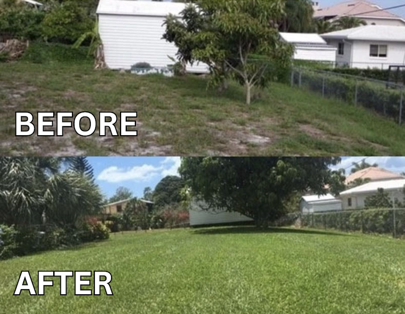 Results of before and after of professional lawn fertilization plans in Venice Florida