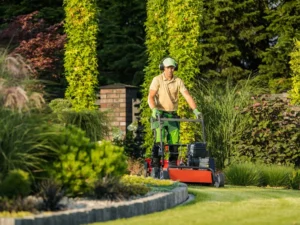 2023 4 12 Landscaper mows lawn in well maintained backyard preparing for mulching