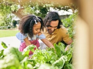 Man enjoys fertile garden after taking time to choose the right fertilizer for his lawn and garden