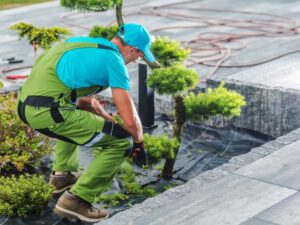 Man installs low maintenance landscaping design that is great for busy homeowners
