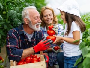 Man shows grandaughter tomatoes he grew in the yard after adding edible landscaping to his backyard